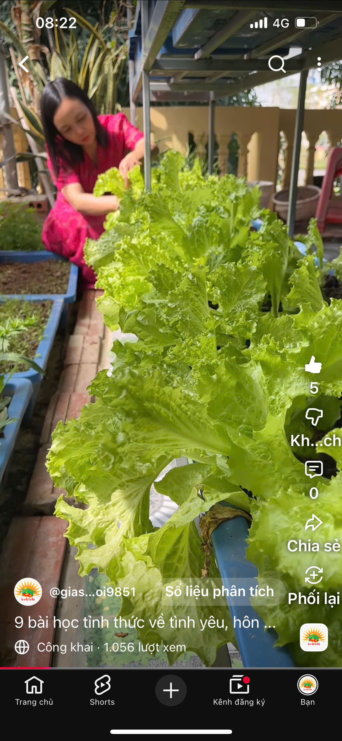 12 BƯỚC ĐỂ ÍCH KỶ TỈNH THỨC — CON ĐƯỜNG TRỞ VỀ VỚI BÌNH AN NỘI TÂM